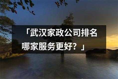 武汉的保姆中介公司哪家好 武汉的保姆中介公司