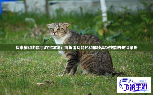 探索猫和老鼠手游宝鸽鸽：简析游戏特色和解锁高级技能的关键策略