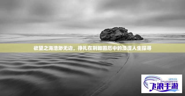 欲望之海浩渺无边，挣扎在荆棘困厄中的漫涩人生探寻