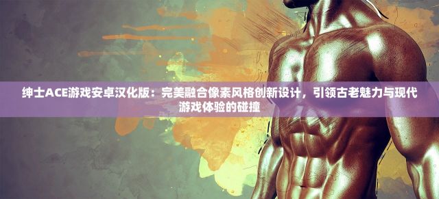 绅士ACE游戏安卓汉化版：完美融合像素风格创新设计，引领古老魅力与现代游戏体验的碰撞