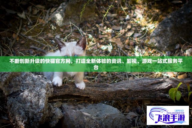 不断创新升级的快猫官方网，打造全新体验的资讯、影视、游戏一站式服务平台