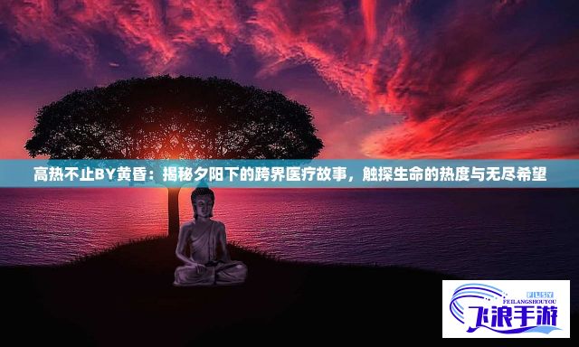 高热不止BY黄昏：揭秘夕阳下的跨界医疗故事，触探生命的热度与无尽希望