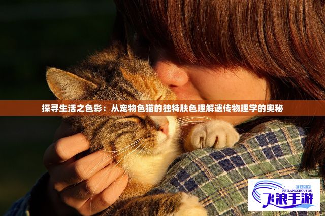 探寻生活之色彩：从宠物色猫的独特肤色理解遗传物理学的奥秘