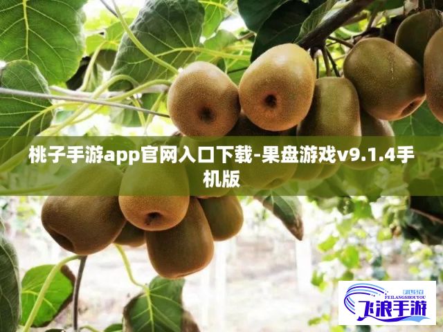 桃子手游app官网入口下载-果盘游戏v9.1.4手机版