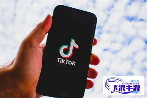 tiktok官方app下载-tiktok下载安卓v0.5.1手机版