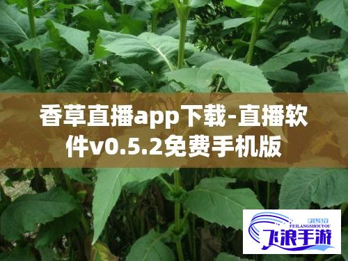 香草直播app下载-直播软件v0.5.2免费手机版