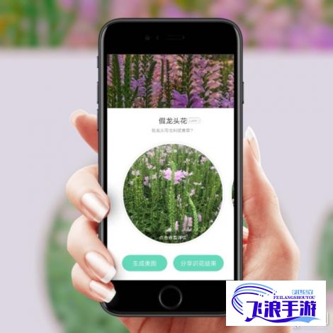 青青草app色版❤网站免费下载-青青草app色版❤网站免费公司v2.0.9官方版