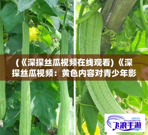 (《深探丝瓜视频在线观看) 《深探丝瓜视频：黄色内容对青少年影响之潜在危害分析》—你知道吗?