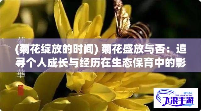 (菊花绽放的时间) 菊花盛放与否：追寻个人成长与经历在生态保育中的影响