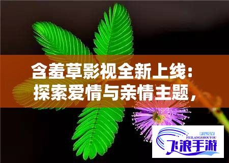 含羞草影视全新上线: 探索爱情与亲情主题，影迷们的不容错过的情感视界！