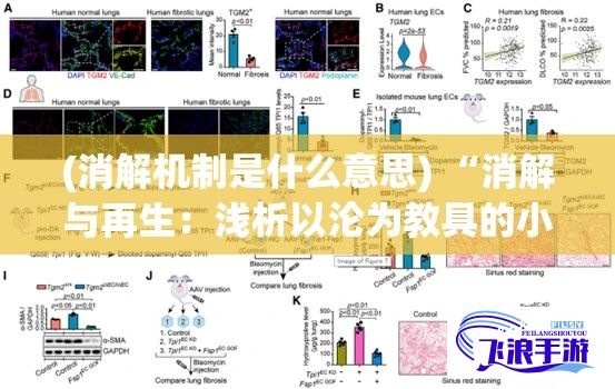 (消解机制是什么意思) “消解与再生：浅析以沦为教具的小诗如何在现代教育中重塑其文学价值”