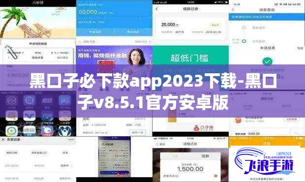 黑口子必下款app2023下载-黑口子v8.5.1官方安卓版