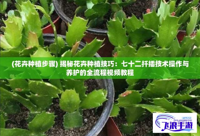 (花卉种植步骤) 揭秘花卉种植技巧：七十二扦插技术操作与养护的全流程视频教程