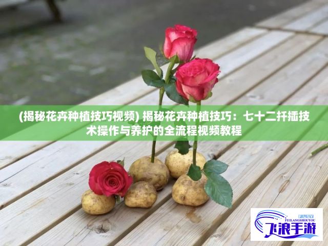 (揭秘花卉种植技巧视频) 揭秘花卉种植技巧：七十二扦插技术操作与养护的全流程视频教程