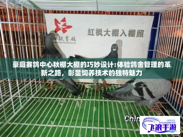 豪庭赛鸽中心秋棚大棚的巧妙设计:体验鸽舍管理的革新之路，彰显饲养技术的独特魅力