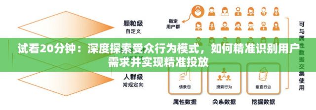 试看20分钟：深度探索受众行为模式，如何精准识别用户需求并实现精准投放