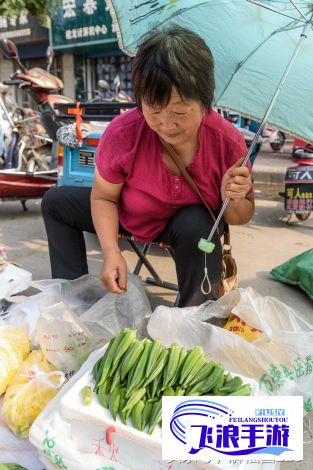 秋葵茄子丝瓜的营养价值与食用技巧| 草莓榴莲的甜蜜搭配与保存秘籍