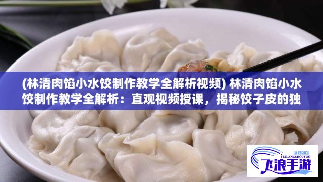 (林清肉馅小水饺制作教学全解析视频) 林清肉馅小水饺制作教学全解析：直观视频授课，揭秘饺子皮的独特技巧和肉馅儿的营养搭配