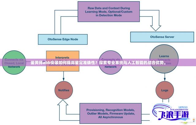 鉴黄师abb安装如何提高鉴定准确性？探索专业系统与人工智能的结合优势。