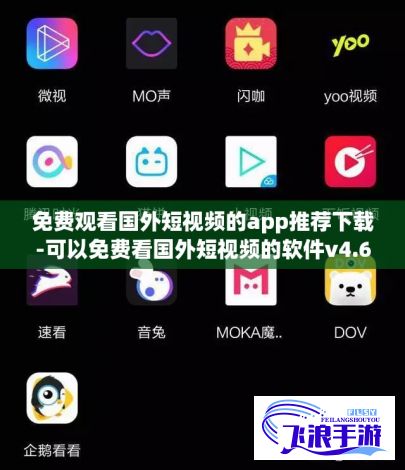 免费观看国外短视频的app推荐下载-可以免费看国外短视频的软件v4.6.1官方版