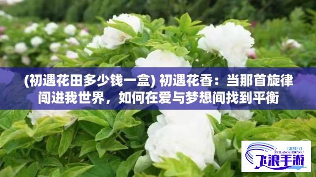 (初遇花田多少钱一盒) 初遇花香：当那首旋律闯进我世界，如何在爱与梦想间找到平衡