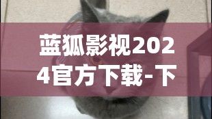 蓝狐影视2024官方下载-下载蓝猫影视appv2.8.7最新版