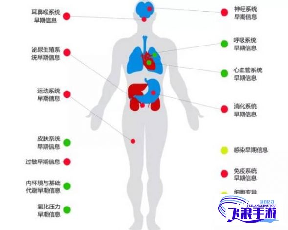 专业医生检查11h推荐: 身体各项指标全面分析，深度解读健康风险，为您全方位呵护健康新状况