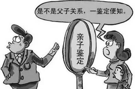 (可不以吧) 探讨'以可不可以干湿你'为核心理念：重新定义家庭清洁服务，为篮球爱好者打造全新洗衣设备体验