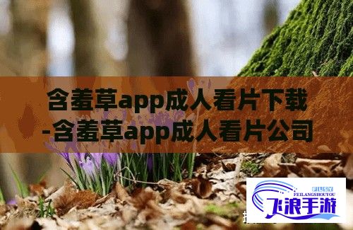 含羞草app成人看片下载-含羞草app成人看片公司v5.4.6免费手机版