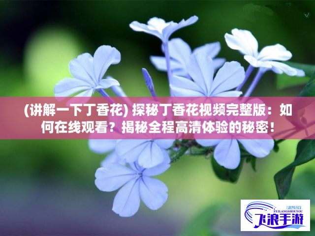 (讲解一下丁香花) 探秘丁香花视频完整版：如何在线观看？揭秘全程高清体验的秘密！