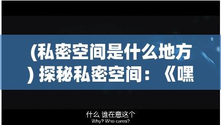 (私密空间是什么地方) 探秘私密空间：《嘿色禁地》影片深度解析与社会影响剖析