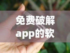 免费破解app的软件有哪些?下载-破解版软件appv6.4.9免费手机版