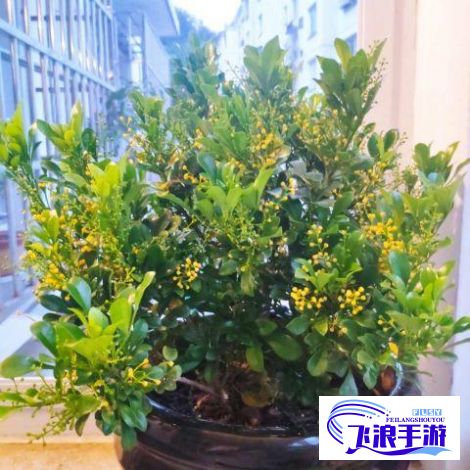 (b站哔哩哔哩女脚心) B站哔哩哔哩：致力打造二次元文化殿堂，繁星点点的创作者天地；源于用户，服务于用户——关注青年观影需求与行为趋势，展现多元化精神风貌