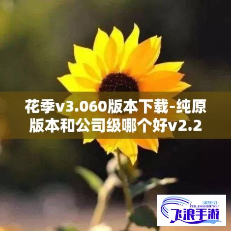 花季v3.060版本下载-纯原版本和公司级哪个好v2.2.3手机版