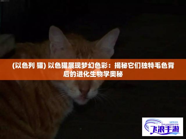 (以色列 猫) 以色猫展现梦幻色彩：揭秘它们独特毛色背后的进化生物学奥秘