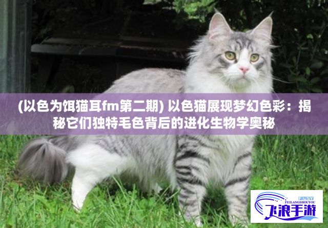 (以色为饵猫耳fm第二期) 以色猫展现梦幻色彩：揭秘它们独特毛色背后的进化生物学奥秘