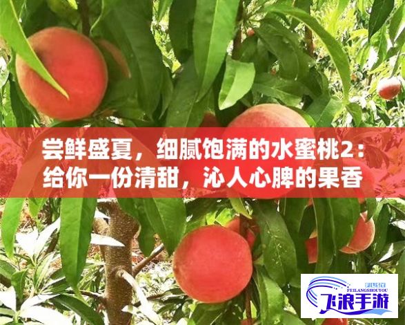 尝鲜盛夏，细腻饱满的水蜜桃2：给你一份清甜，沁人心脾的果香享受