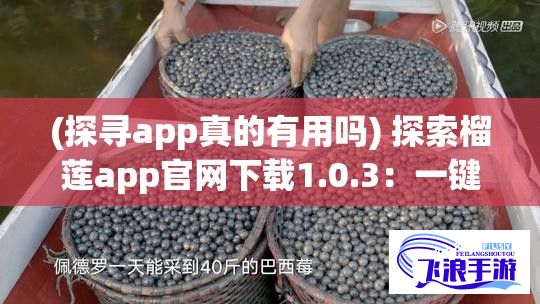 (探寻app真的有用吗) 探索榴莲app官网下载1.0.3：一键获取最新版本，提升您的用户体验！