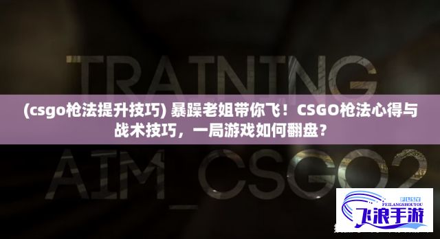 (csgo枪法提升技巧) 暴躁老姐带你飞！CSGO枪法心得与战术技巧，一局游戏如何翻盘？