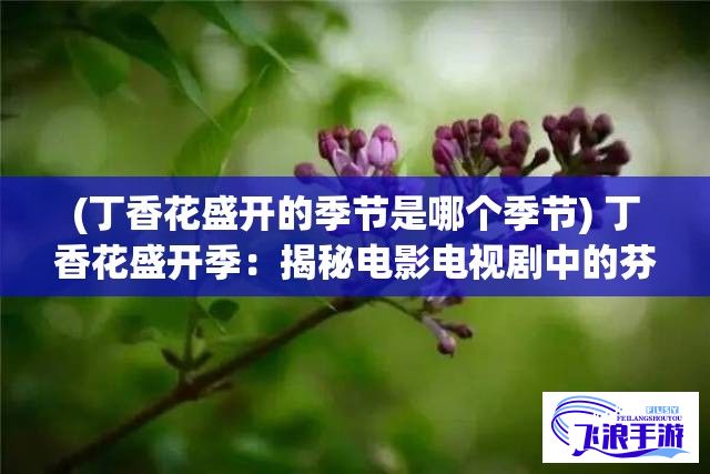 (丁香花盛开的季节是哪个季节) 丁香花盛开季：揭秘电影电视剧中的芬芳、浪漫与人生启示 | 每部作品背后的故事解析