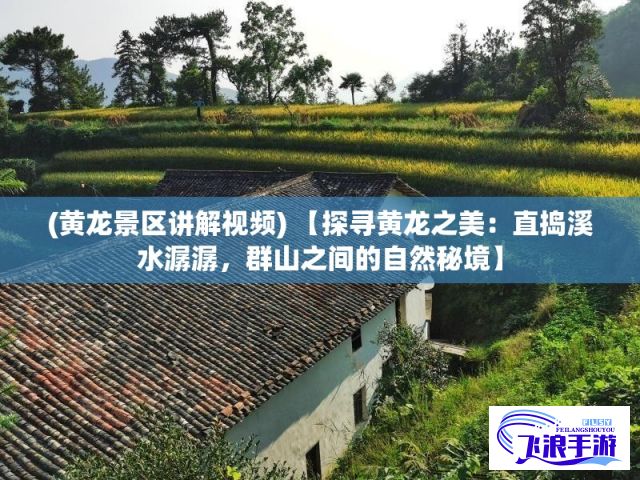 (黄龙景区讲解视频) 【探寻黄龙之美：直捣溪水潺潺，群山之间的自然秘境】