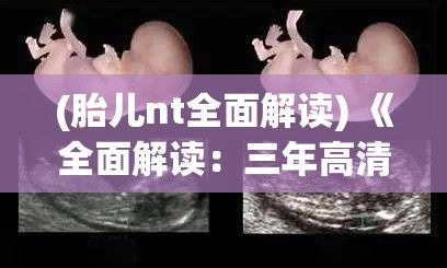 (胎儿nt全面解读) 《全面解读：三年高清在线观看全集》下载攻略，免费获取高清享受！