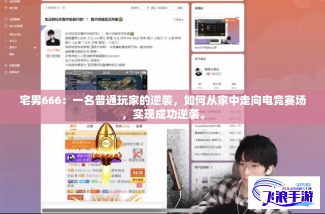 宅男666：一名普通玩家的逆袭，如何从家中走向电竞赛场，实现成功逆袭。