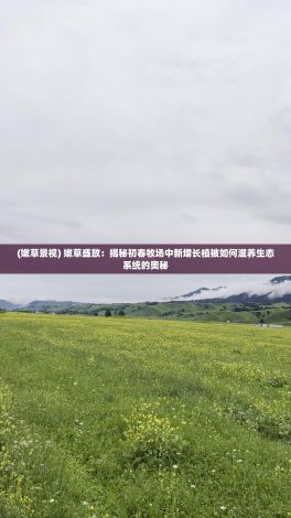 (嫩草景视) 嫩草盛放：揭秘初春牧场中新增长植被如何滋养生态系统的奥秘