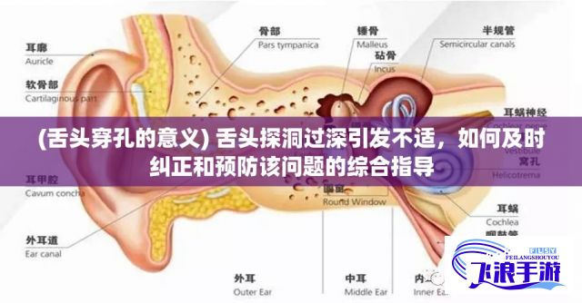 (舌头穿孔的意义) 舌头探洞过深引发不适，如何及时纠正和预防该问题的综合指导