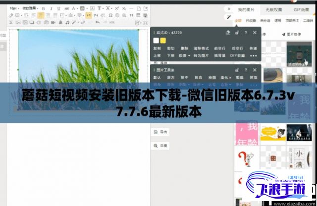 蘑菇短视频安装旧版本下载-微信旧版本6.7.3v7.7.6最新版本