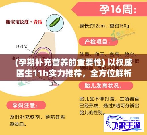 (孕期补充营养的重要性) 以权威医生11h实力推荐，全方位解析孕期营养补充的科学方法