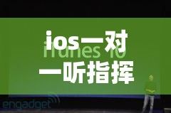 ios一对一听指挥app下载-聊天一对一听指挥v6.4.6安卓版