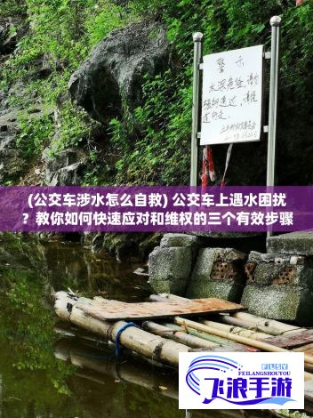 (公交车涉水怎么自救) 公交车上遇水困扰？教你如何快速应对和维权的三个有效步骤！