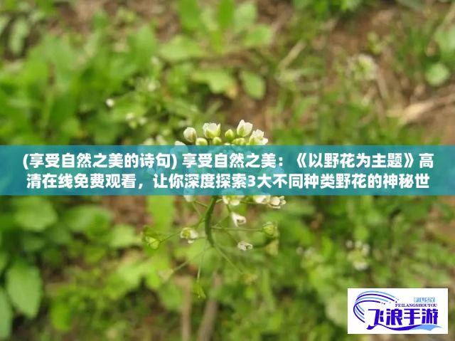 (享受自然之美的诗句) 享受自然之美：《以野花为主题》高清在线免费观看，让你深度探索3大不同种类野花的神秘世界